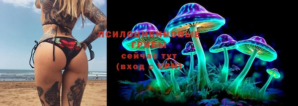 СК Армянск
