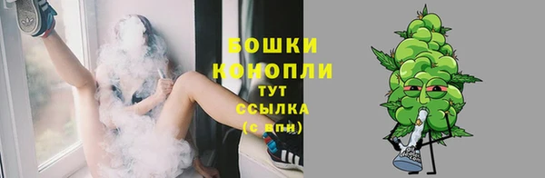 сатива Аркадак