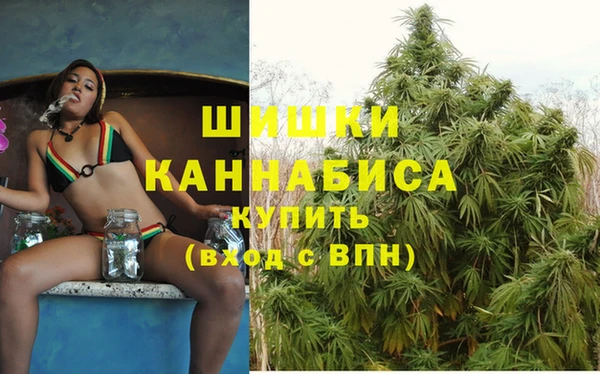сатива Аркадак