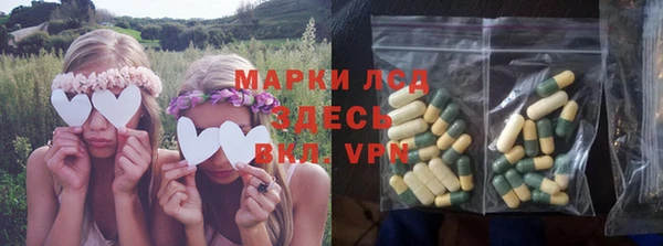 сатива Аркадак