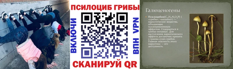 мега ТОР  Перевоз  Псилоцибиновые грибы прущие грибы 